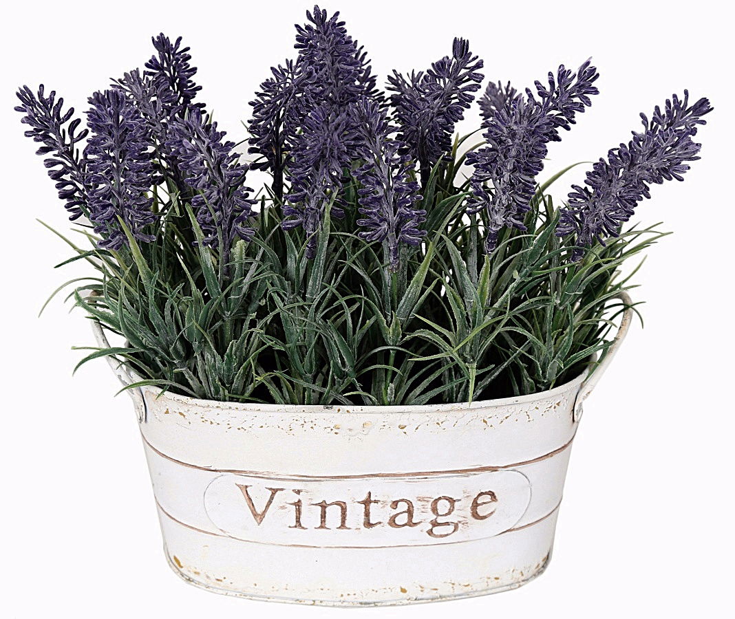 Lavender Oval Planter 22cm