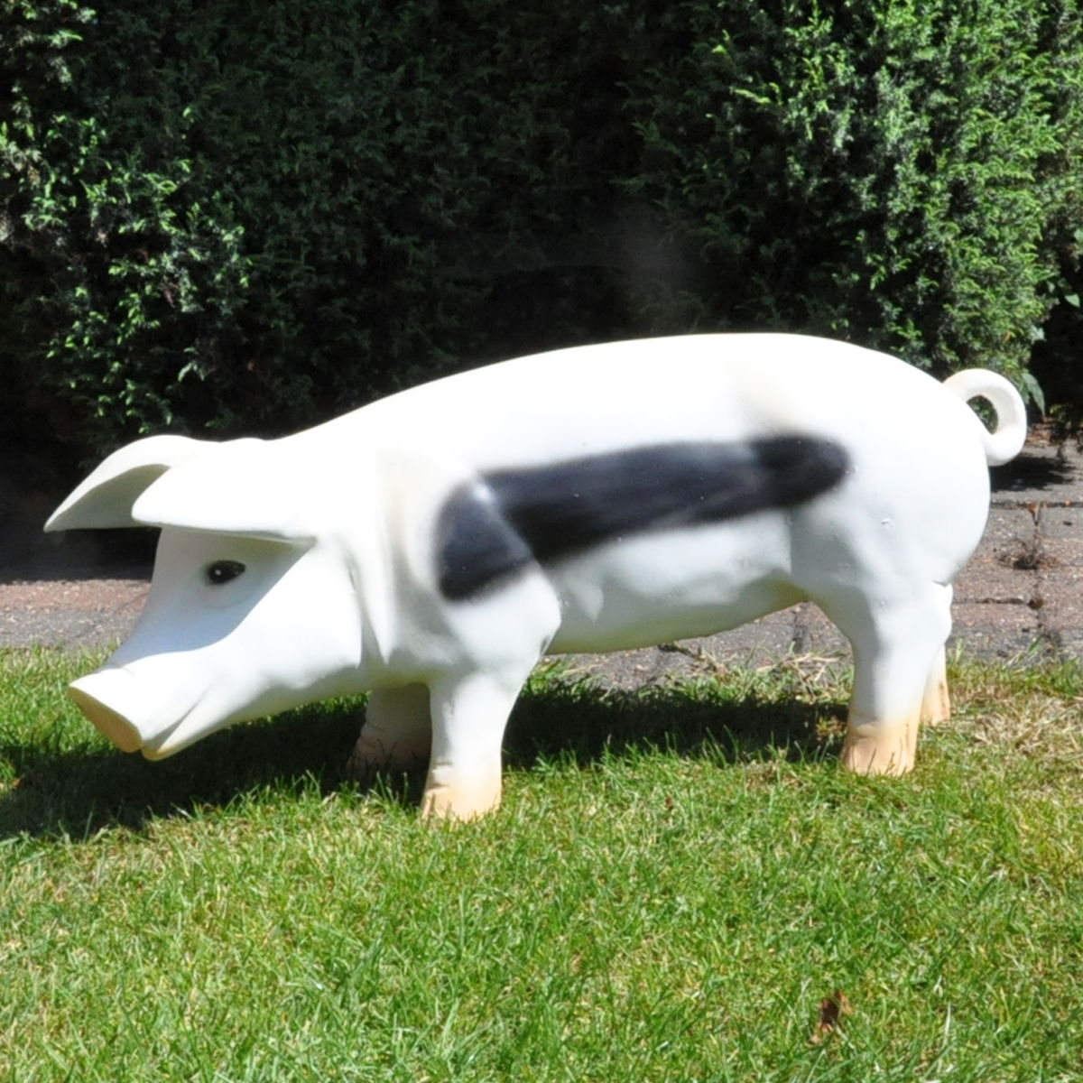 Black & White Pig 61 x 26 cm