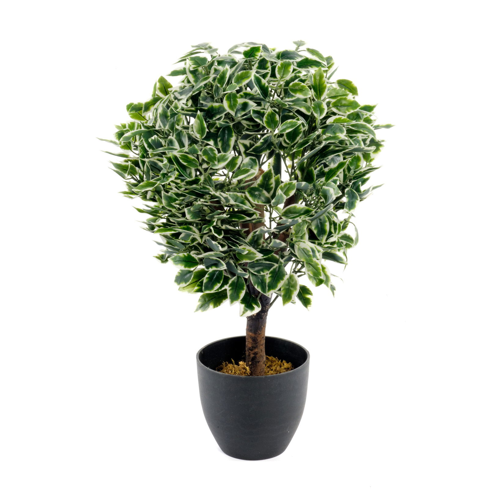 Artificial Medium 65cm Variegated Ficus Ball + Pot